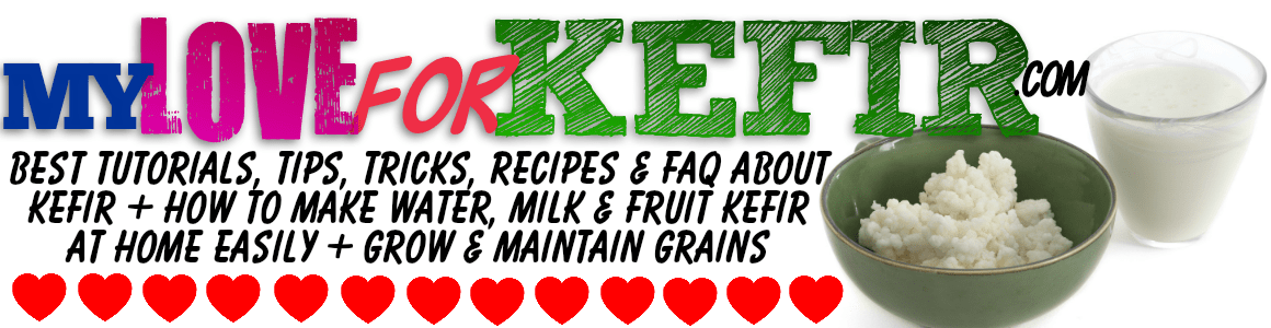 Tips, Advices And Home Recipes To Make Probiotic Drinks, Smoothies and Juices of Kefir Milk, Fruit, Water and Yogurt